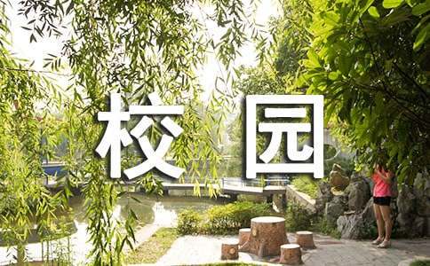 适合不同年龄段篮球爱好者的体能训练方案_2